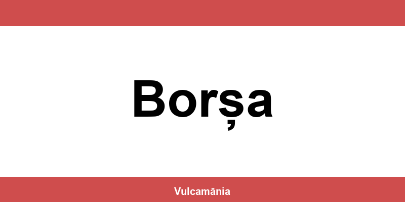 Service vulcanizare auto NON-STOP Borșa – telefon și contact