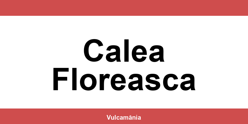 Service vulcanizare auto NON-STOP Calea Floreasca – telefon și contact