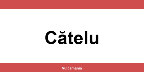 Service vulcanizare auto NON-STOP Cătelu – telefon și contact