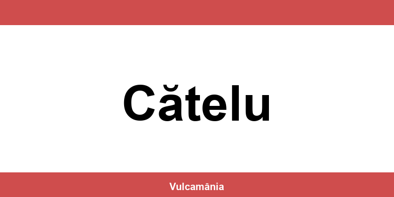 Service vulcanizare auto NON-STOP Cătelu – telefon și contact