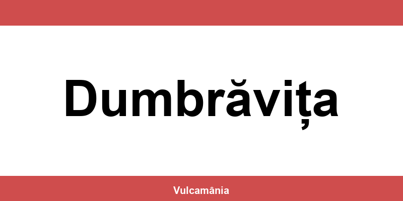 Service vulcanizare auto NON-STOP Dumbrăvița – telefon și contact