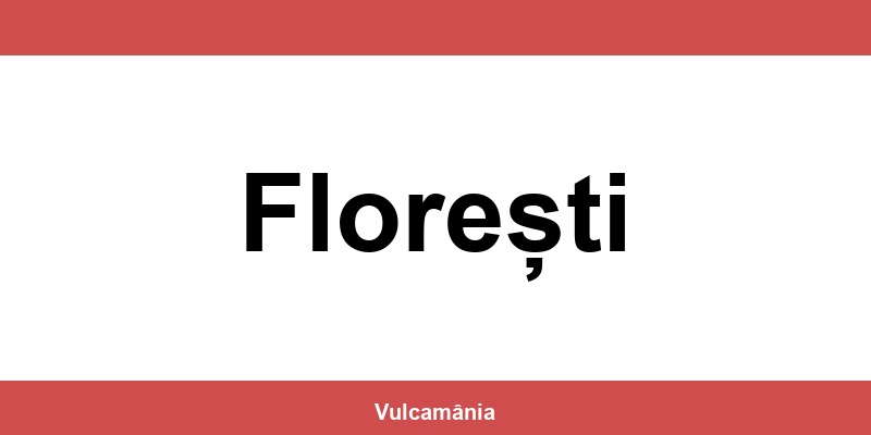 Service vulcanizare auto NON-STOP Florești – telefon și contact