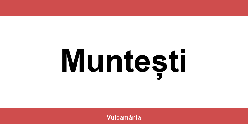 Service vulcanizare auto NON-STOP Muntești – telefon și contact