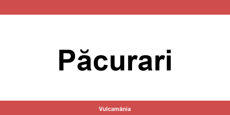 Service vulcanizare auto NON-STOP Păcurari – telefon și contact