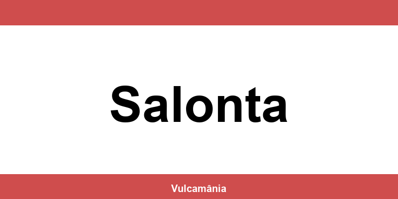 Service vulcanizare auto NON-STOP Salonta – telefon și contact