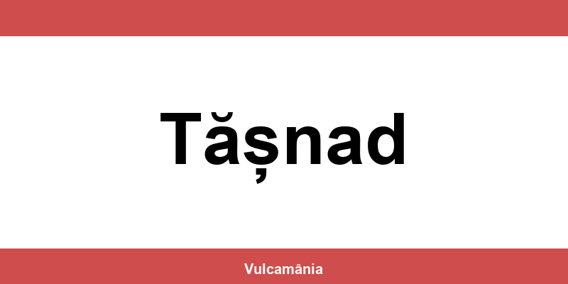 Service vulcanizare auto NON-STOP Tășnad – telefon și contact