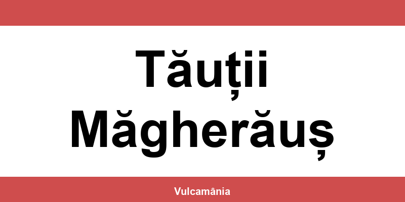 Service vulcanizare auto NON-STOP Tăuții Măgherăuș – telefon și contact