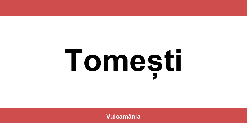 Service vulcanizare auto NON-STOP Tomești – telefon și contact