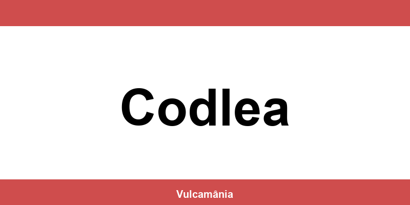 Service vulcanizare auto NON-STOP Codlea – telefon și contact