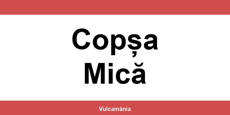 Service vulcanizare auto NON-STOP Copșa Mică – telefon și contact