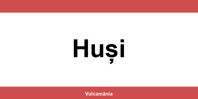 Service vulcanizare auto NON-STOP Huși – telefon și contact