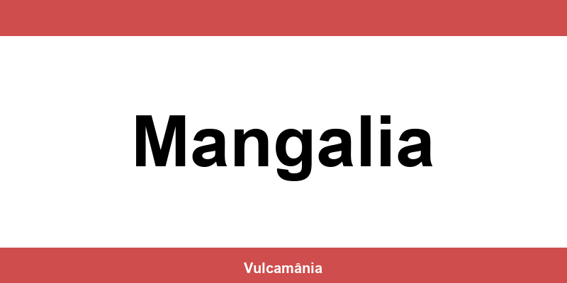 Service vulcanizare auto NON-STOP Mangalia – telefon și contact