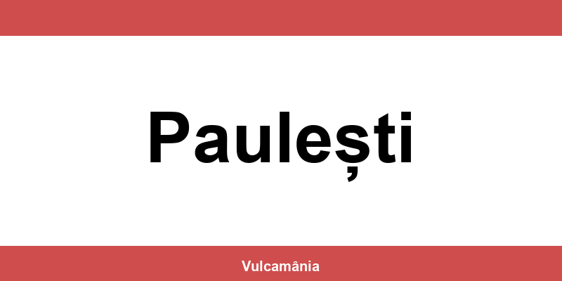 Service vulcanizare auto NON-STOP Paulești – telefon și contact