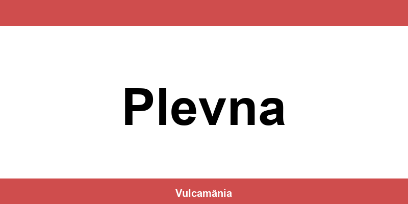 Service vulcanizare auto NON-STOP Plevna – telefon și contact