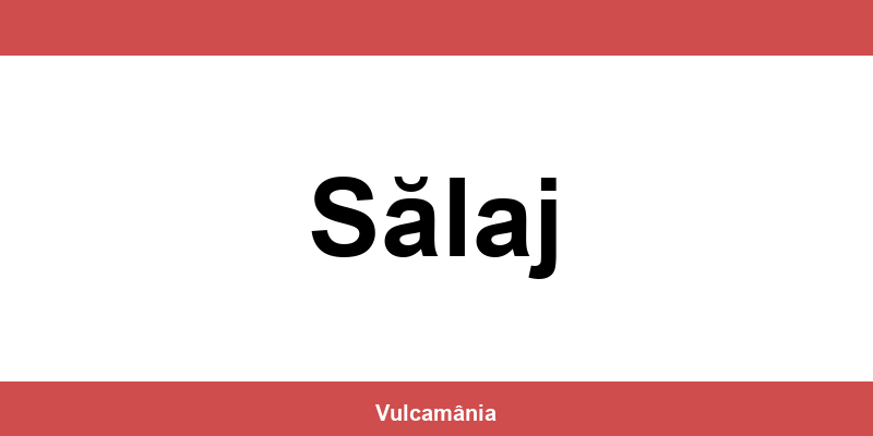 Service vulcanizare auto NON-STOP Sălaj – telefon și contact