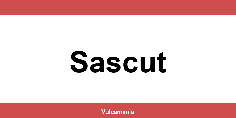 Service vulcanizare auto NON-STOP Sascut – telefon și contact