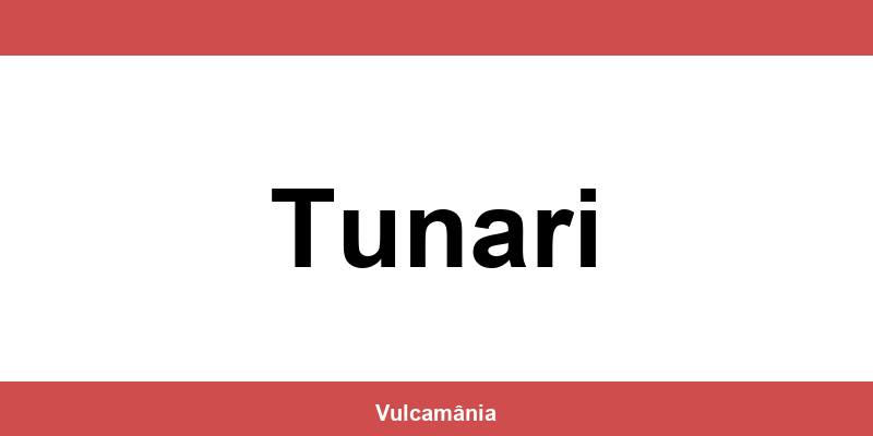 Service vulcanizare auto NON-STOP Tunari – telefon și contact