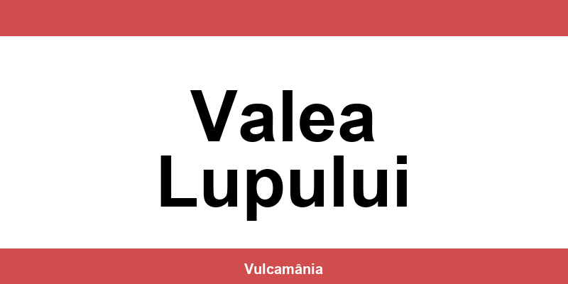 Service vulcanizare auto NON-STOP Valea Lupului – telefon și contact