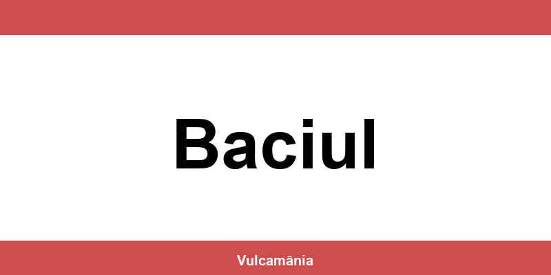 Service vulcanizare auto NON-STOP Baciul – telefon și contact