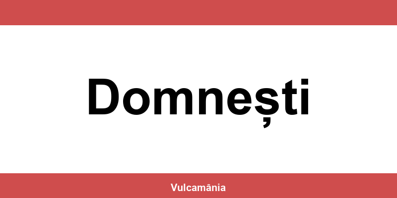 Service vulcanizare auto NON-STOP Domnești – telefon și contact