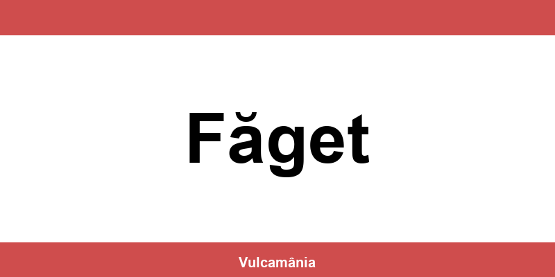 Service vulcanizare auto NON-STOP Făget – telefon și contact